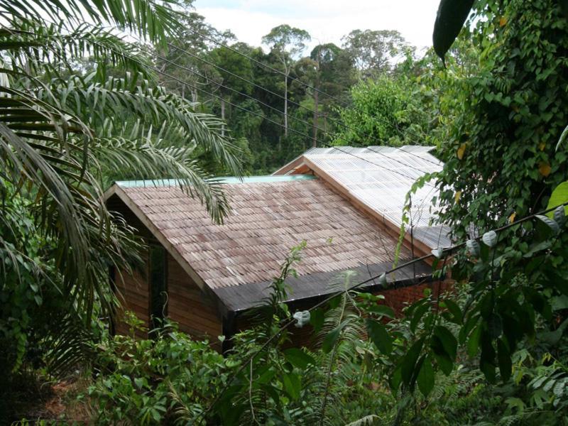 Paganakan Dii Tropical Retreat Sepilok Eksteriør bilde