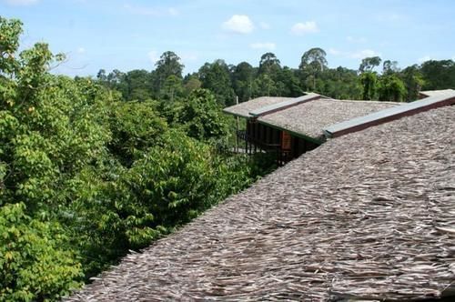 Paganakan Dii Tropical Retreat Sepilok Eksteriør bilde