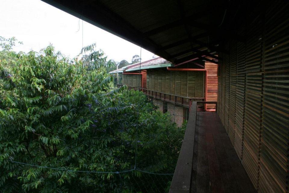 Paganakan Dii Tropical Retreat Sepilok Eksteriør bilde